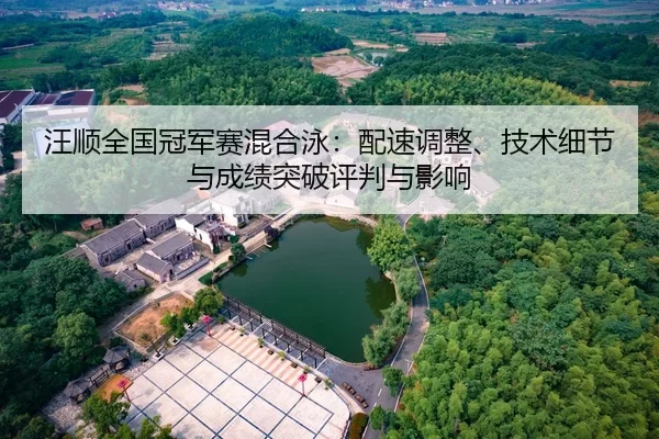汪顺全国冠军赛混合泳：配速调整、技术细节与成绩突破评判与影响